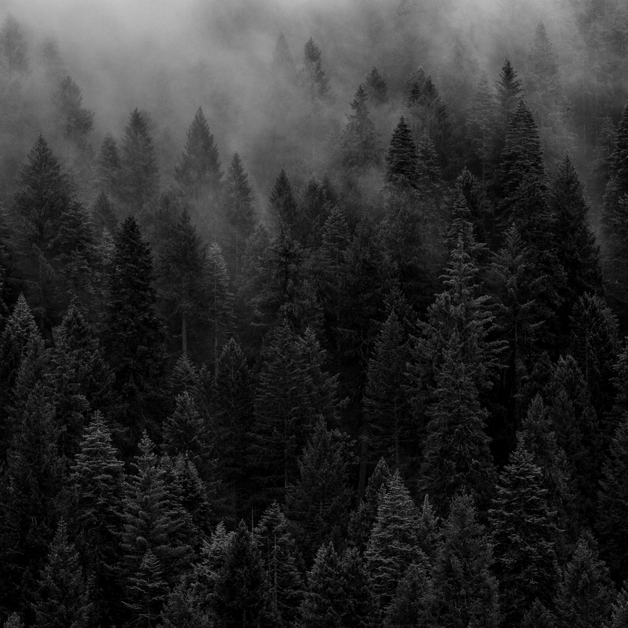 Precision from the foot of the Black Forest